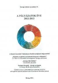 A pályázatok éve (23)