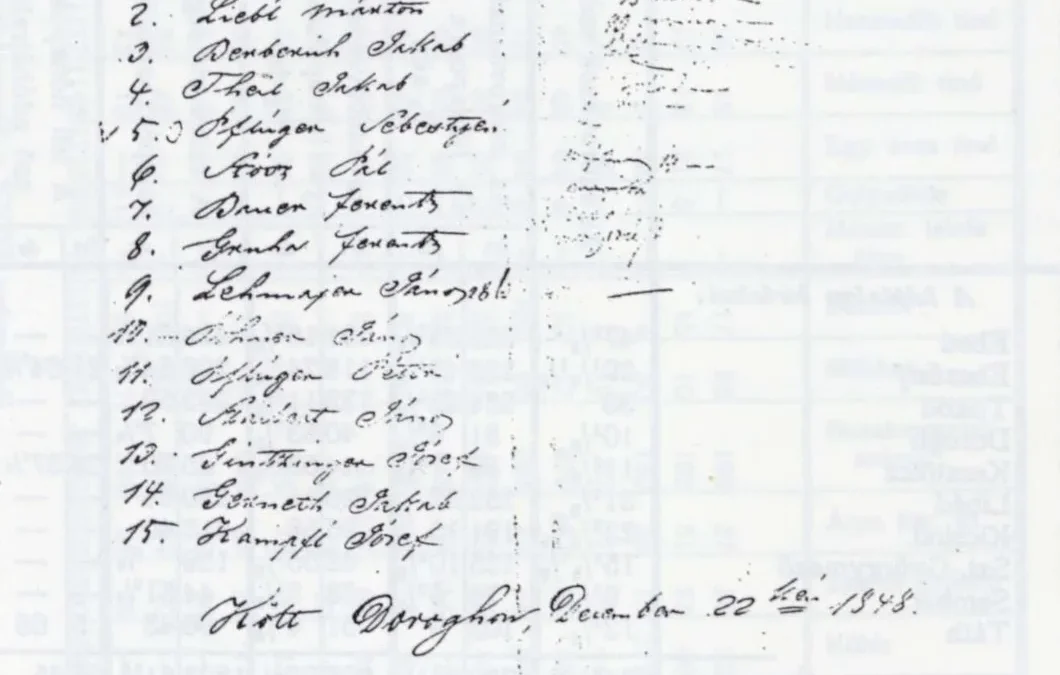 Dorogi nemzetőreink